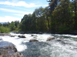 Photo Nick Cunliffe_Upper Trancura, Chile